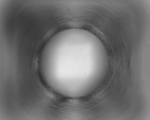 X0000073870071200608312103