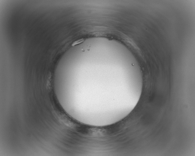 X0000073870073200608312103