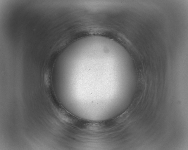 X0000073870074200608312103