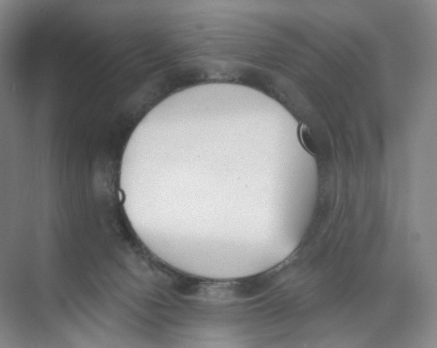 X0000073870078200608312103