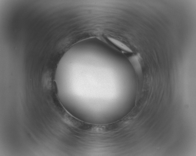 X0000073870080200608312103