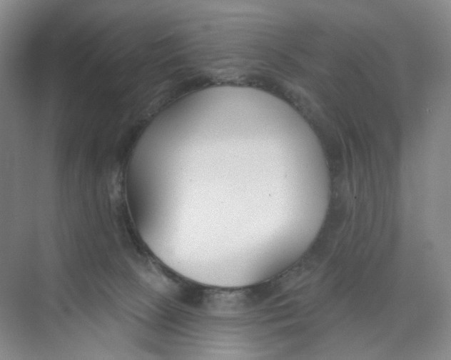 X0000073870081200608312103