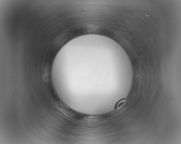 X0000073870082200608312103