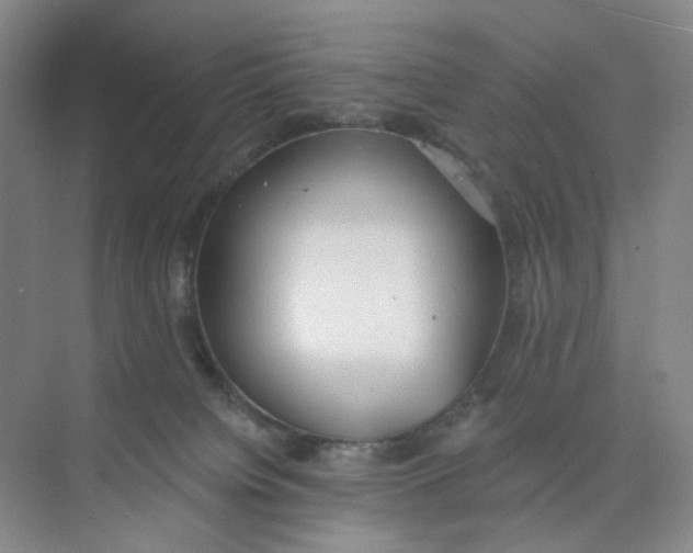 X0000073870084200608312103