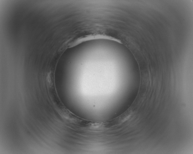 X0000073870088200608312103