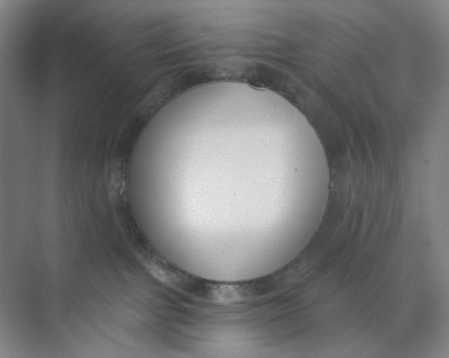 X0000073870091200608312104