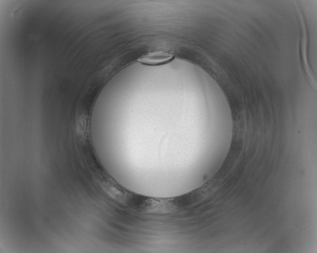 X0000073870093200608312104