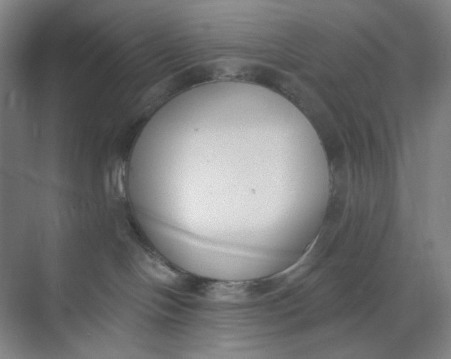 X0000073870094200608312104