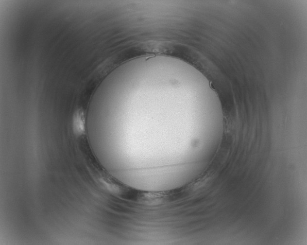 X0000073870095200608312104