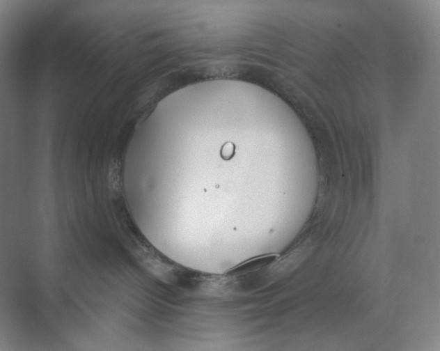 X0000073870096200608312104