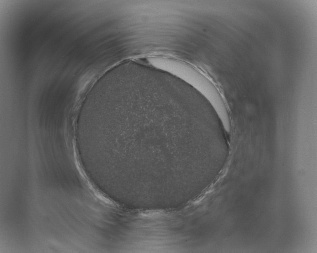 X0000073870097200608312103