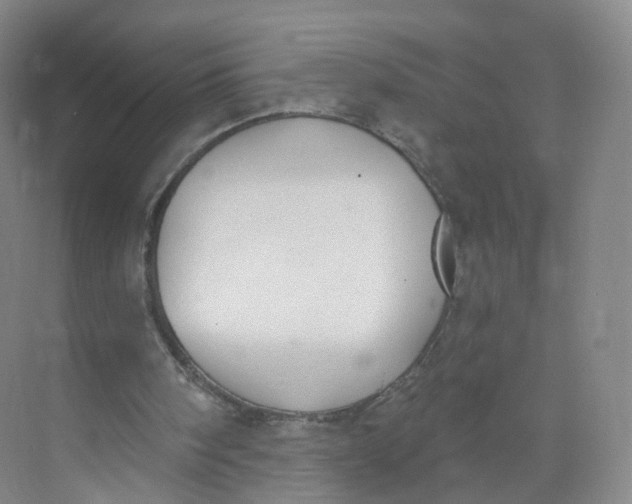 X0000073870098200608312103