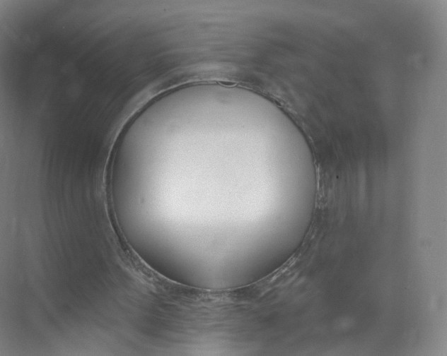 X0000073870099200608312103