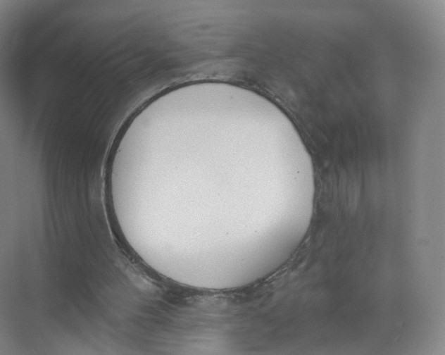 X0000073870100200608312103