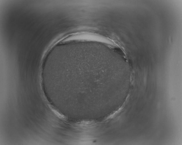 X0000073870101200608312103