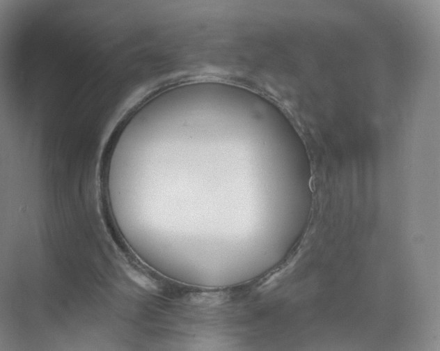 X0000073870102200608312103