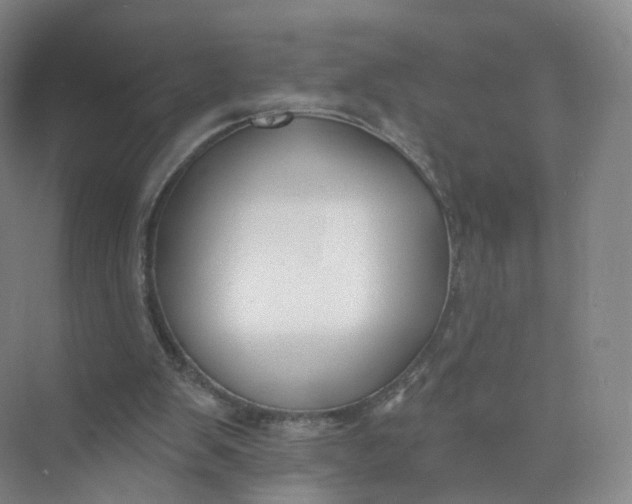 X0000073870103200608312103