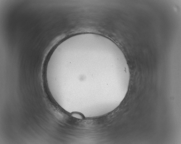 X0000073870104200608312103