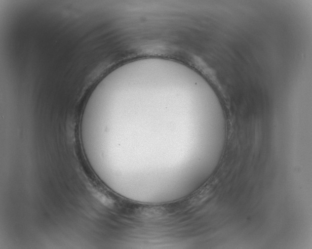 X0000073870106200608312103