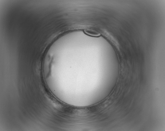 X0000073870107200608312103