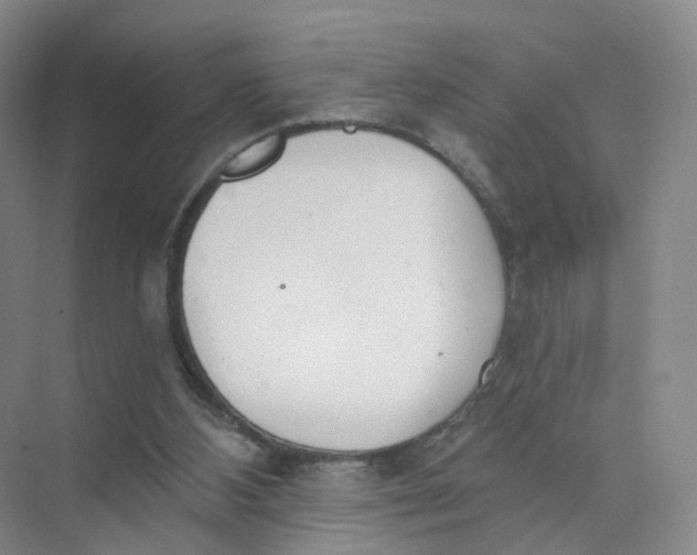 X0000073870108200608312103