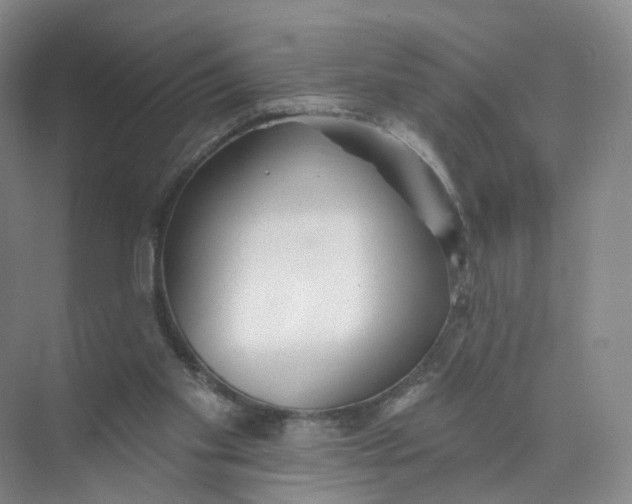 X0000073870109200608312103