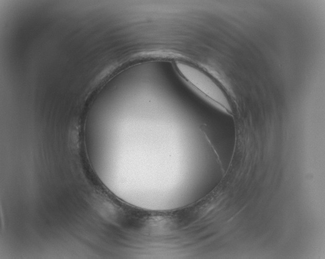 X0000073870111200608312103