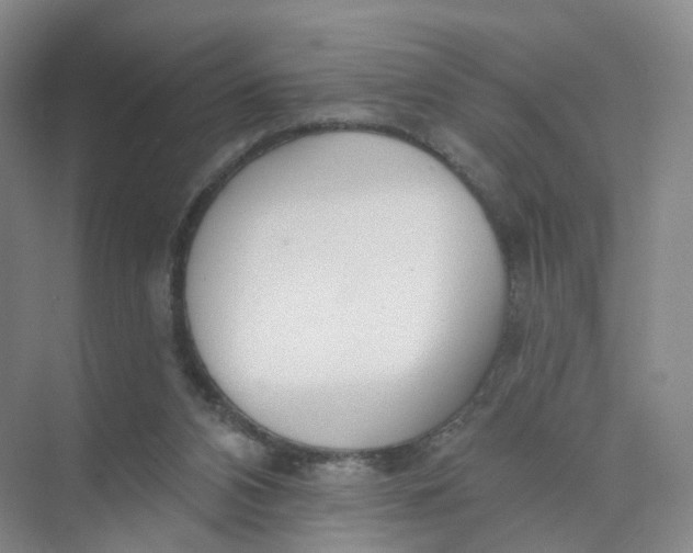 X0000073870112200608312103