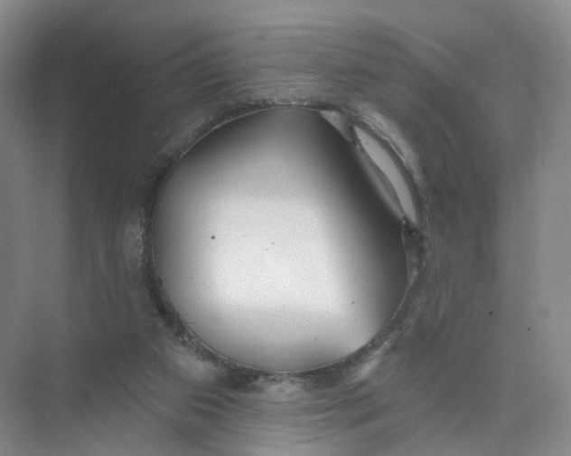 X0000073870113200608312103