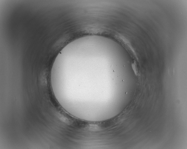 X0000073870114200608312103