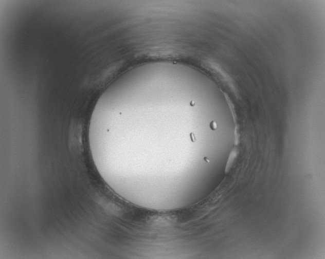 X0000073870115200608312103