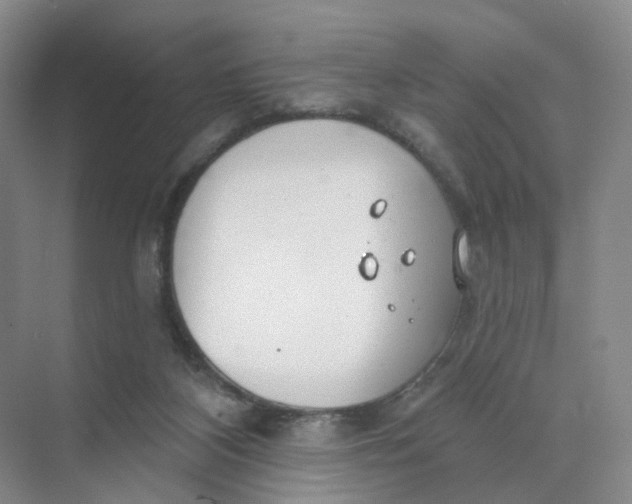 X0000073870116200608312102