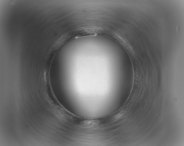 X0000073870117200608312102