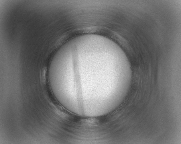 X0000073870118200608312102