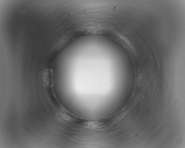 X0000073870121200608312102