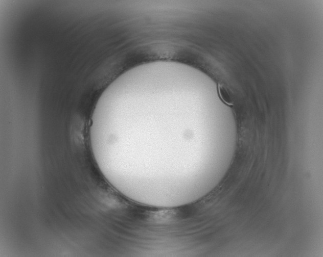 X0000073870122200608312102