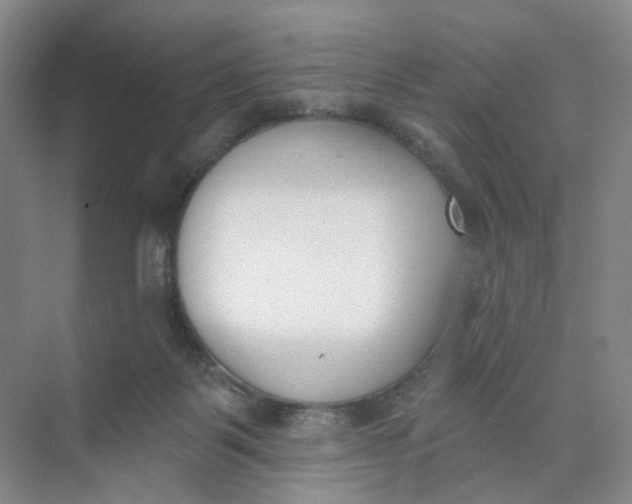 X0000073870123200608312102