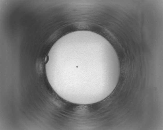 X0000073870124200608312102