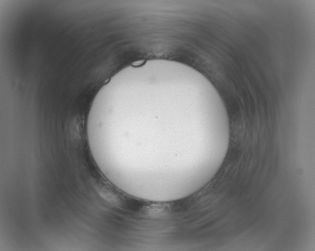 X0000073870126200608312102