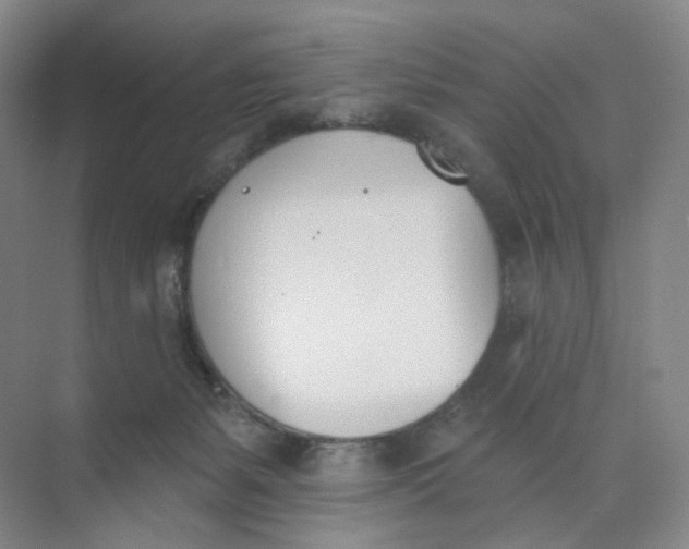 X0000073870127200608312102