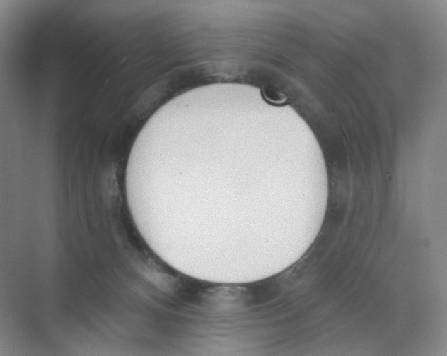 X0000073870128200608312102