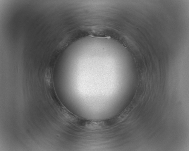 X0000073870129200608312102