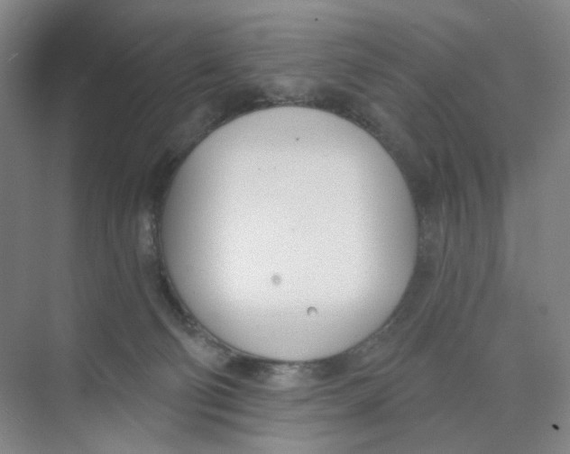 X0000073870130200608312102