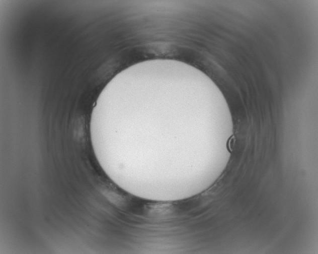 X0000073870132200608312102