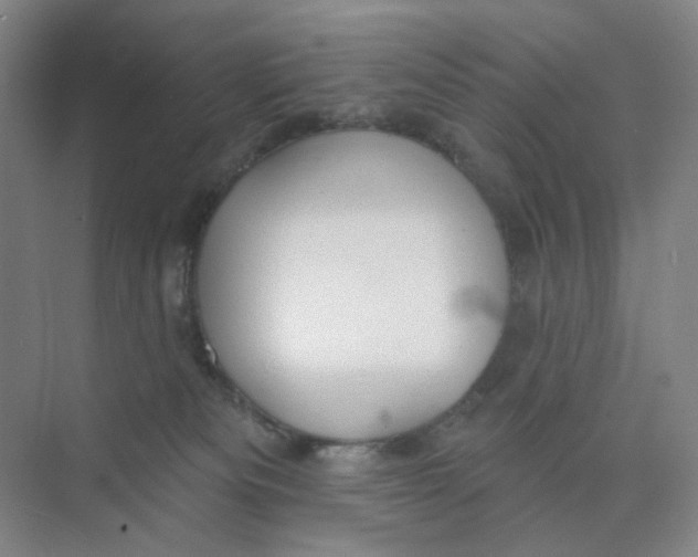 X0000073870133200608312102