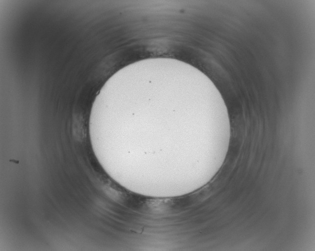 X0000073870136200608312102