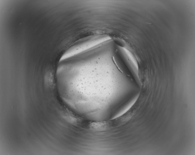 X0000073870139200608312102