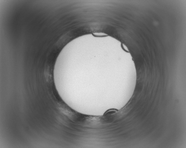 X0000073870140200608312102