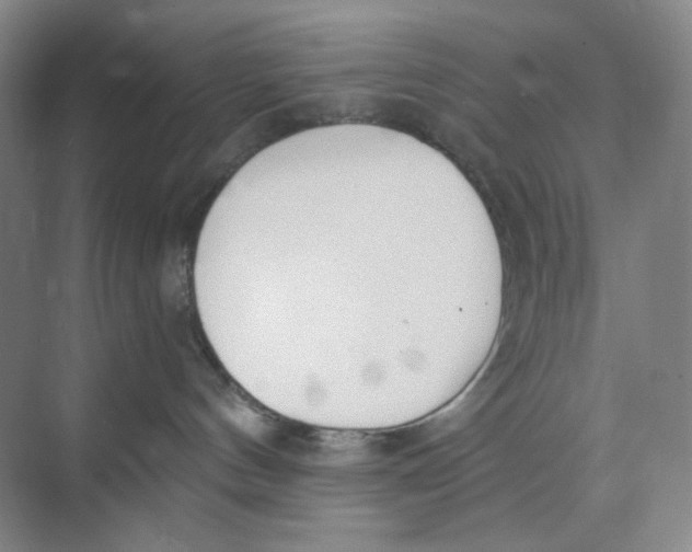 X0000073870144200608312102