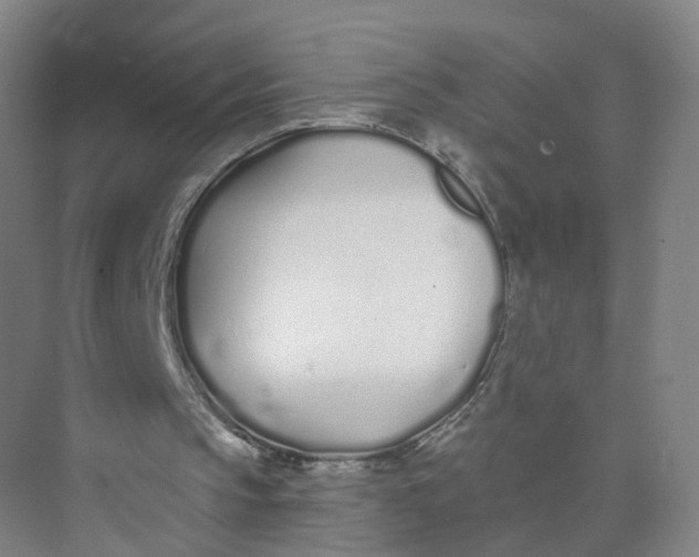 X0000073870145200608312101